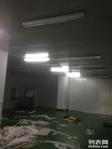 金山石化區(qū)食品廠專業(yè)凈化工程 彩鋼巖棉板隔斷、車間隔墻與工裝裝修一體化解決方案